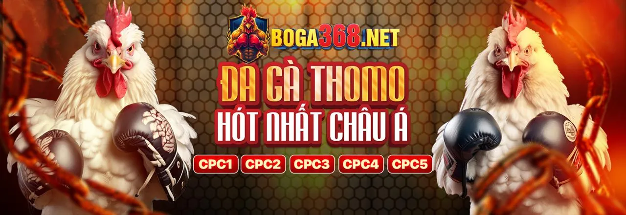 Hình ảnh minh họa Chính sách Cookie 0k9 và bảo vệ dữ liệu